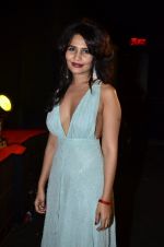 Rachna Shah at Rang Rasiya music launch in Deepak Cinema on 25th Sept 2014